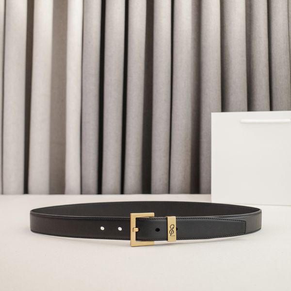 Womens Designer Belt Genuine Leather Belts for Women 2.0/3.0cm Width Leisure Needle Buckle Models Optional Lady Waistband Luxury Waist Girdle 90-115cm Length - Fashion Accessories - guangzhoubuy